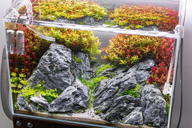 Mini-Landschaft - Seiryu Stone - MyScape Seiryu Rocks 5 Kg
