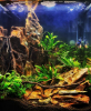 Drachenstein - Ohko Stone - MyScape Dragon Stone 5 kg